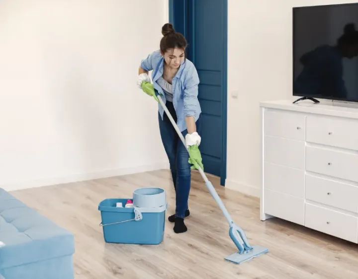 Femme de ménage Maincy